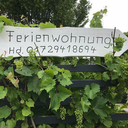 Ferienwohnung Anke Huhn Nordhausen Eksteriør billede
